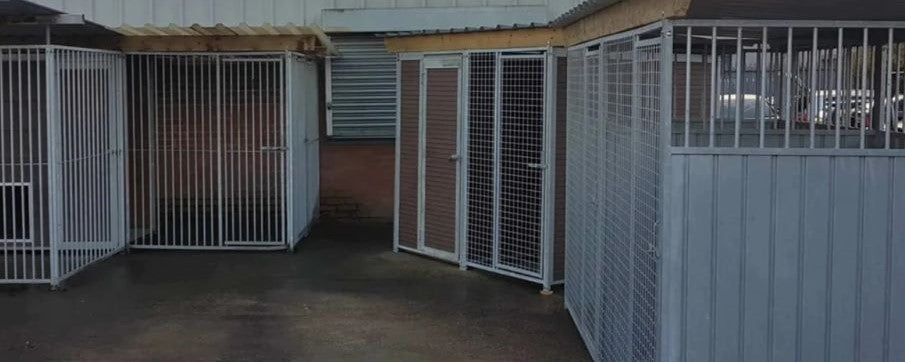 Dog Kennel Prices UK: Buyers Guide to Costing Options