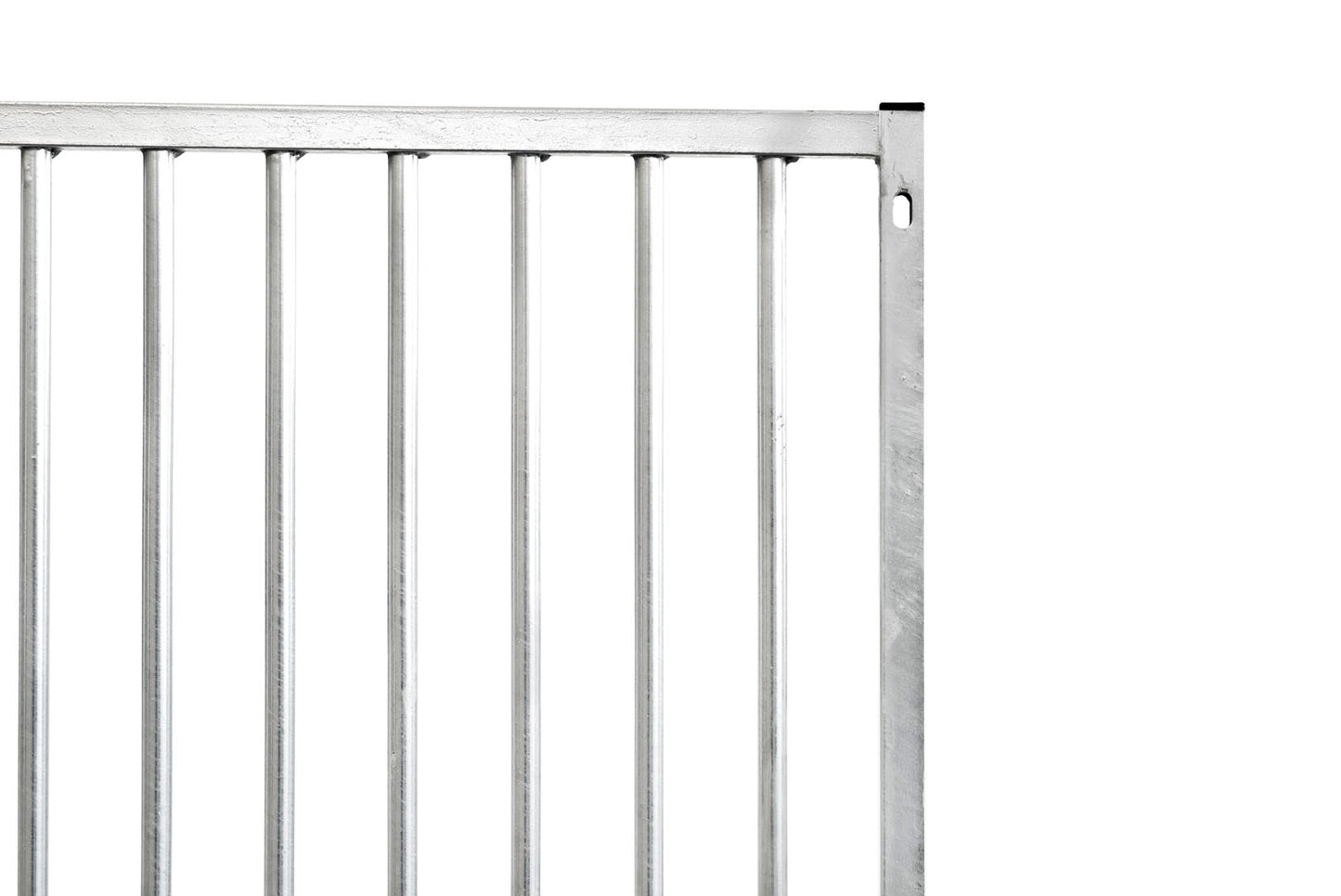 Galvanised Dog Panel - 1.0m x 1.84m with 5cm Bar Gap