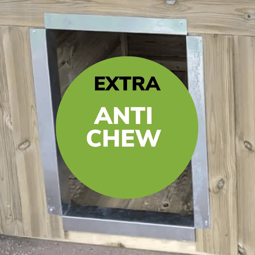 Single Dog Kennel - 10ft x 4ft