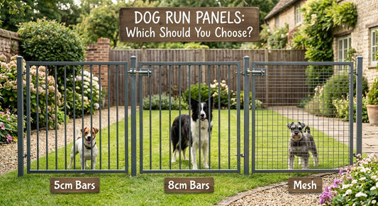 Dog Run Panels: 5cm Bars vs 8cm Bars vs Mesh – Which Should You Choose?