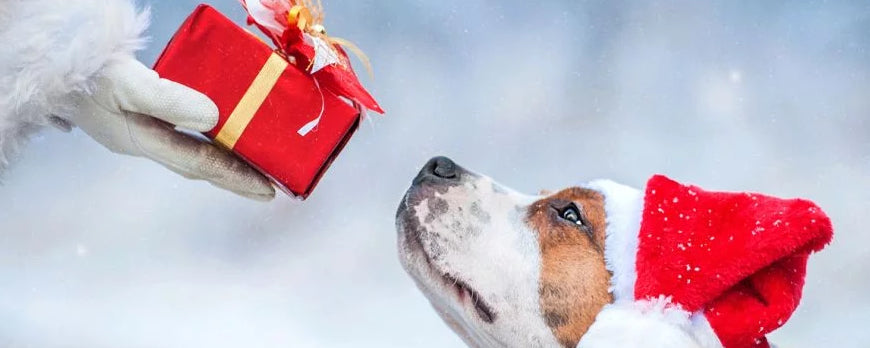 Christmas Gifts For Dogs