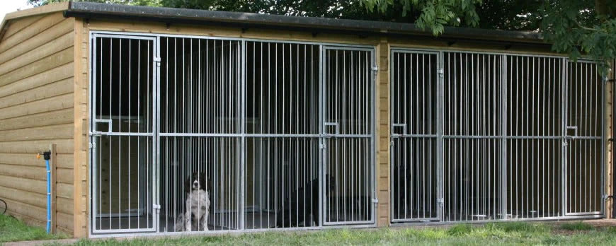 Buying a Dog Kennel: Factors to Consider for Your Pet's Comfort