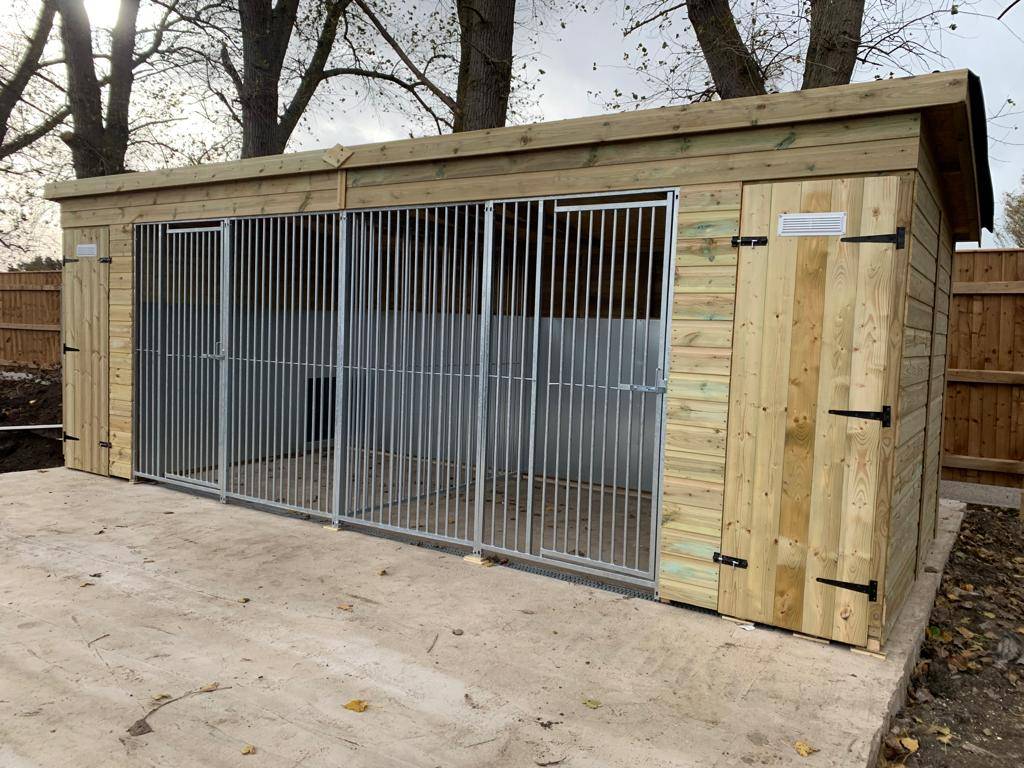 Pent Duo Dog Kennels