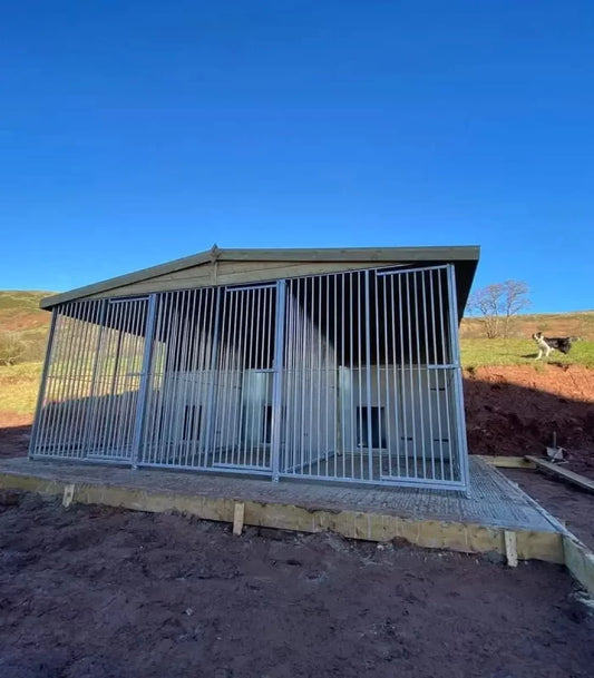 Triple Dog Kennel - 15ft x 10ft