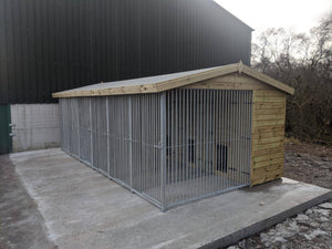 Six Bay Dog Kennel - 20ft x 12ft