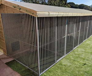 Large Triple Dog Kennel - 20ft x 12ft