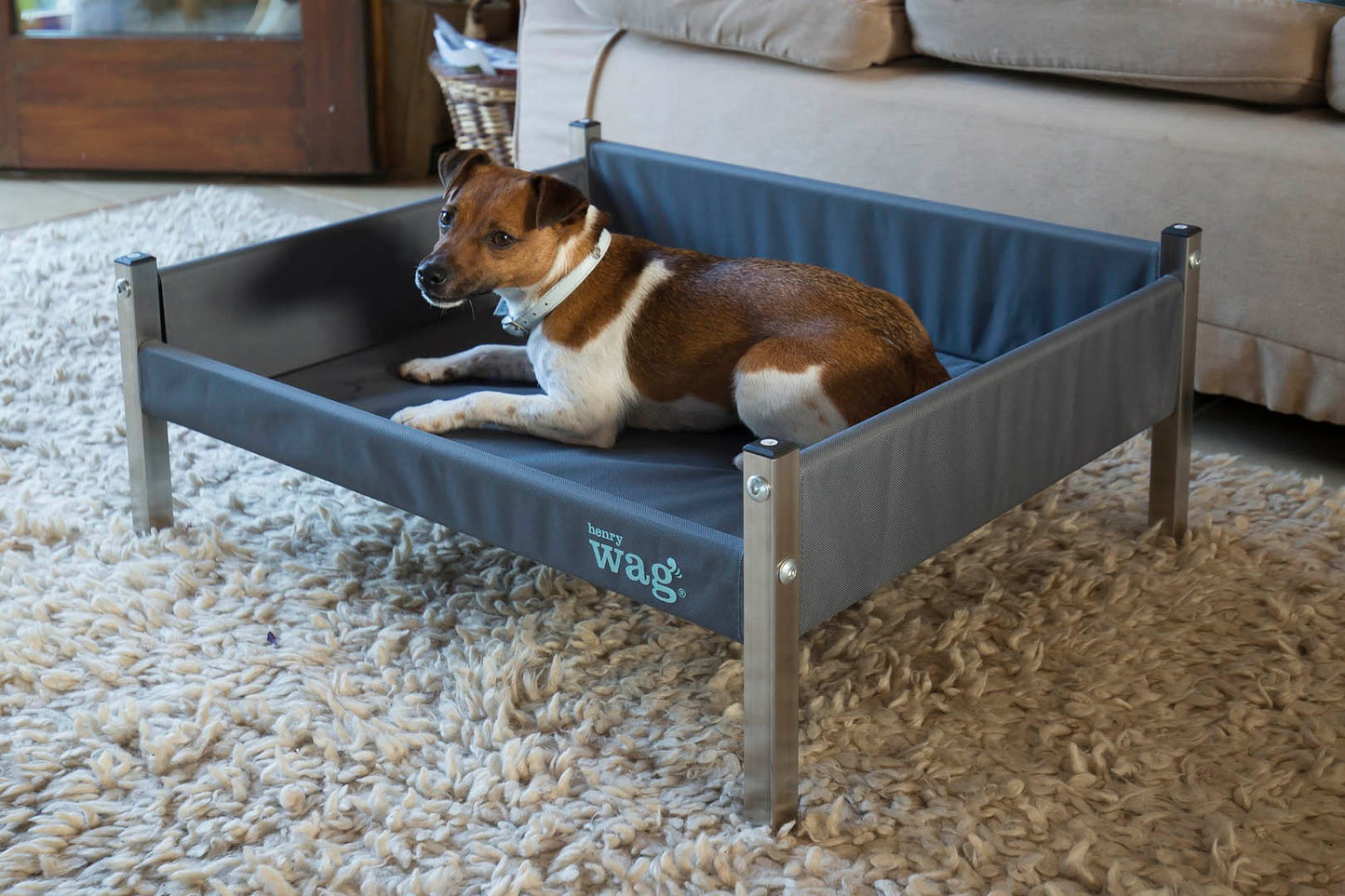 Elevated Dog Beds