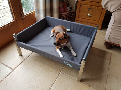 Elevated Dog Beds