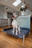 Elevated Dog Beds