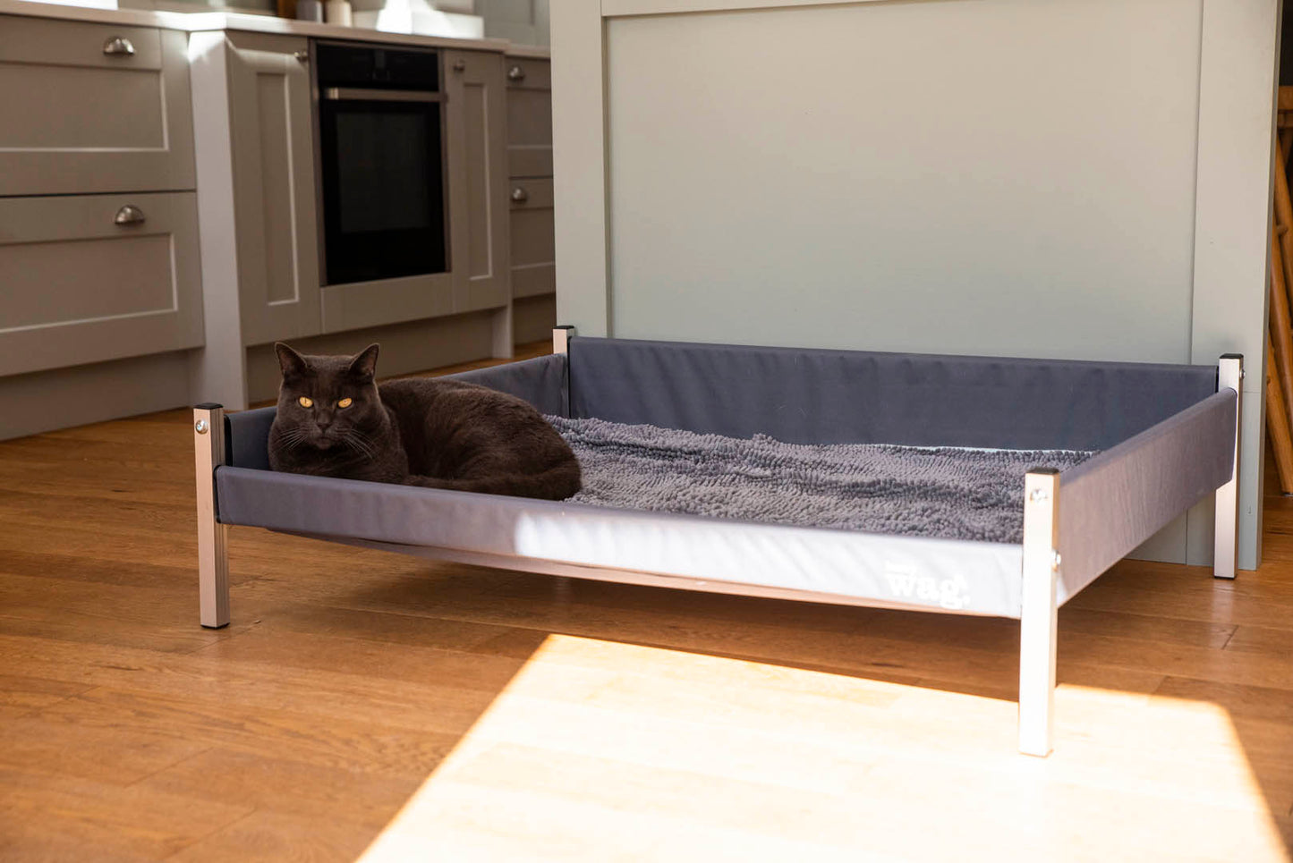 Elevated Dog Beds