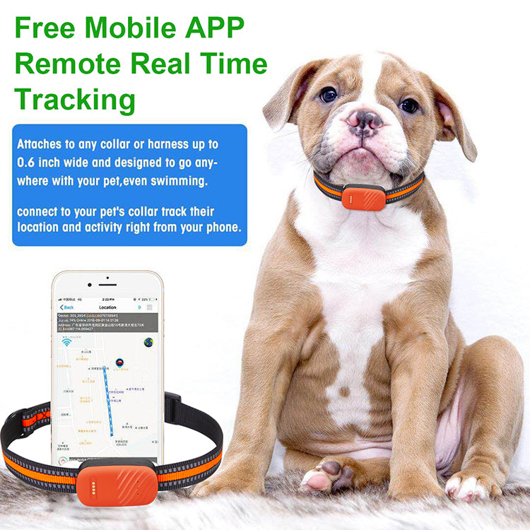 GPS Dog Tracker / Pet Tracker