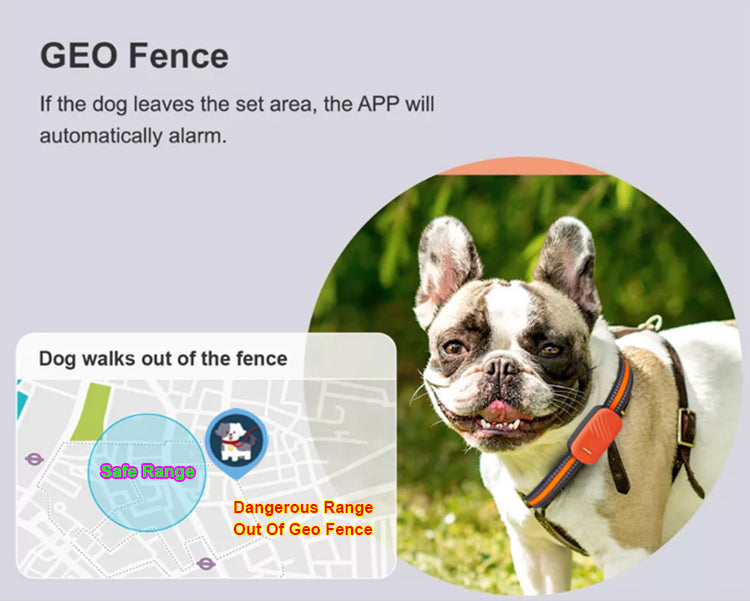 GPS Dog Tracker / Pet Tracker