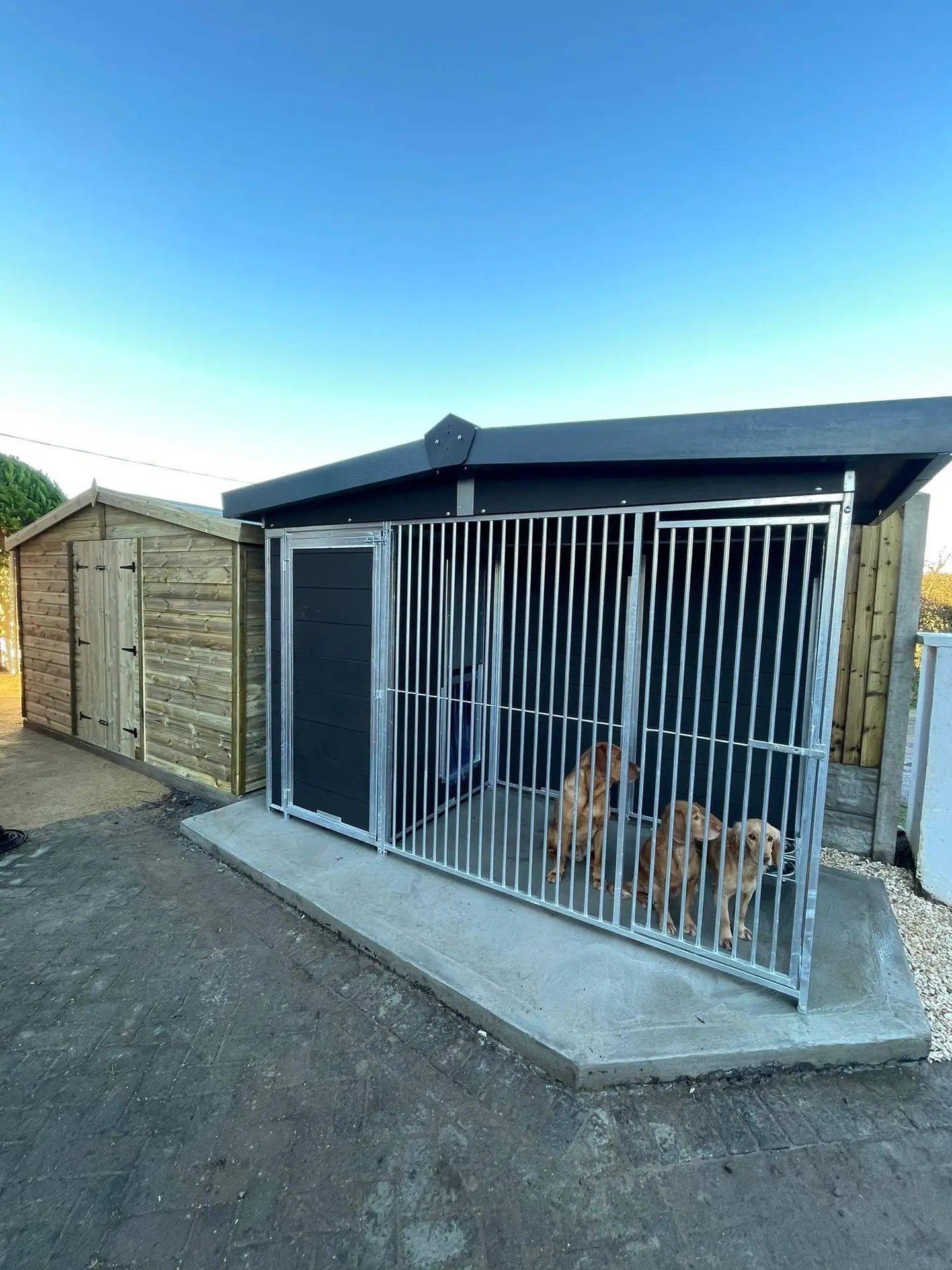 Single Eco Thermal Plastic Dog Kennel - 10 X 4 ft