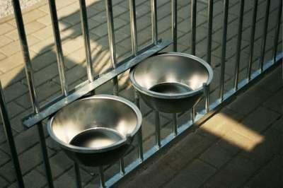 Double Bolt-On Dog Bowl and Holder