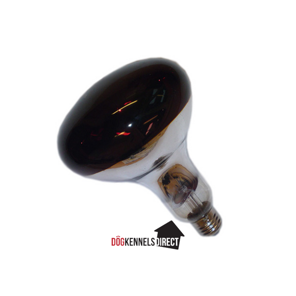 Infared Heat Lamp Bulb 250 Watts For Sale Dog Kennels Direct